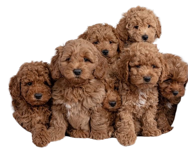 28347228 hostinger ai 2e0e5e27