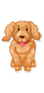 28347228 hostinger ai fed5065a